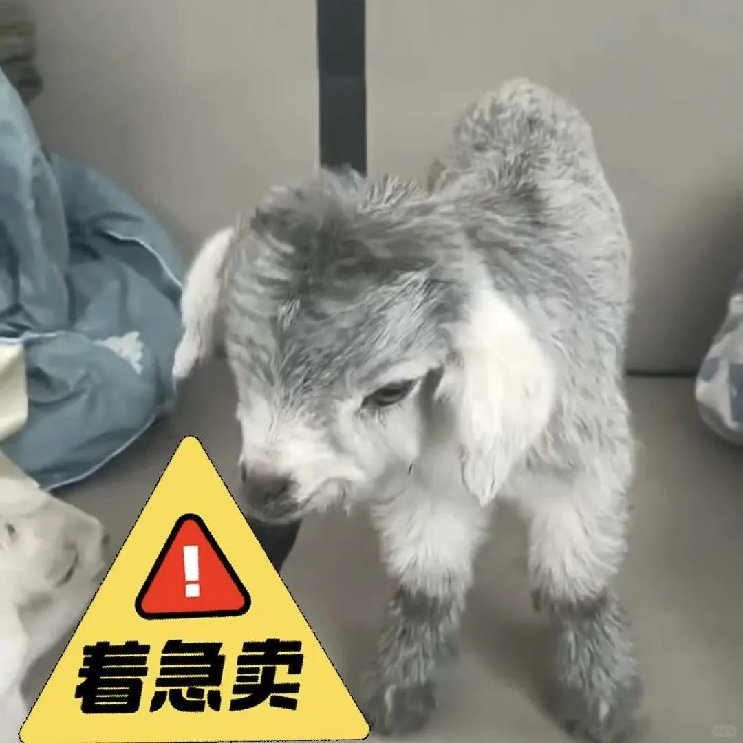 ȳ٪?ɰճ˱ر!
