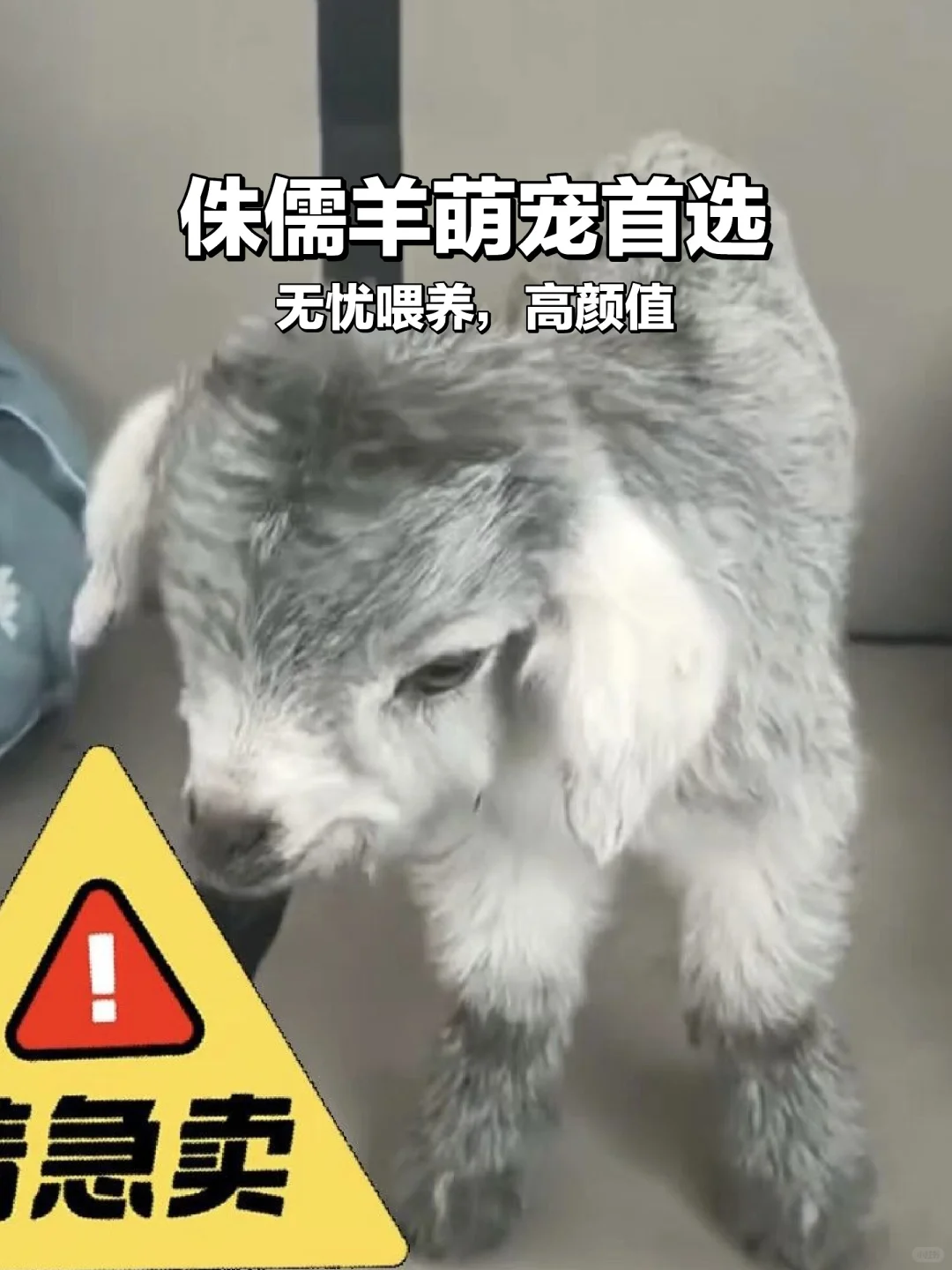 ȳ٪?ɰճ˱ر!