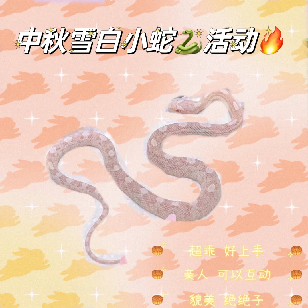 ѩ?? 320