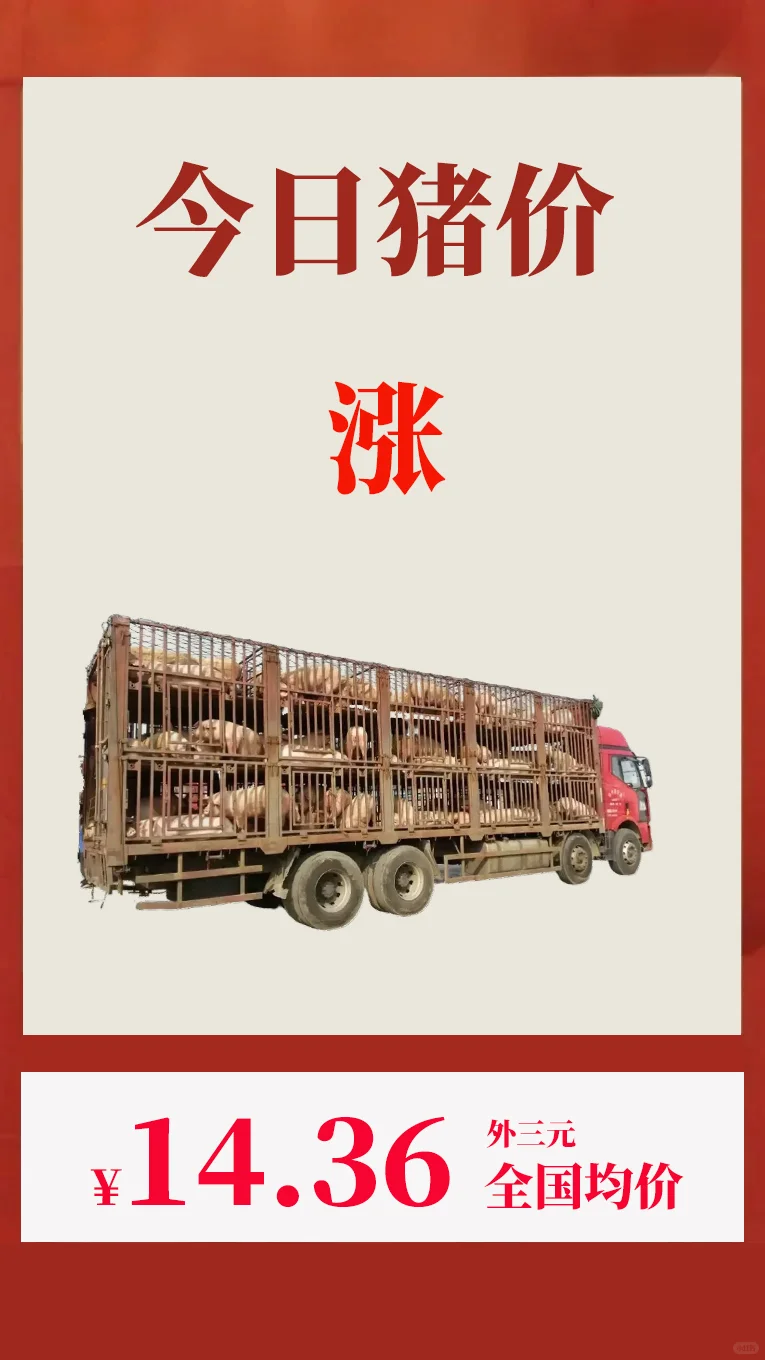 202582ȫ