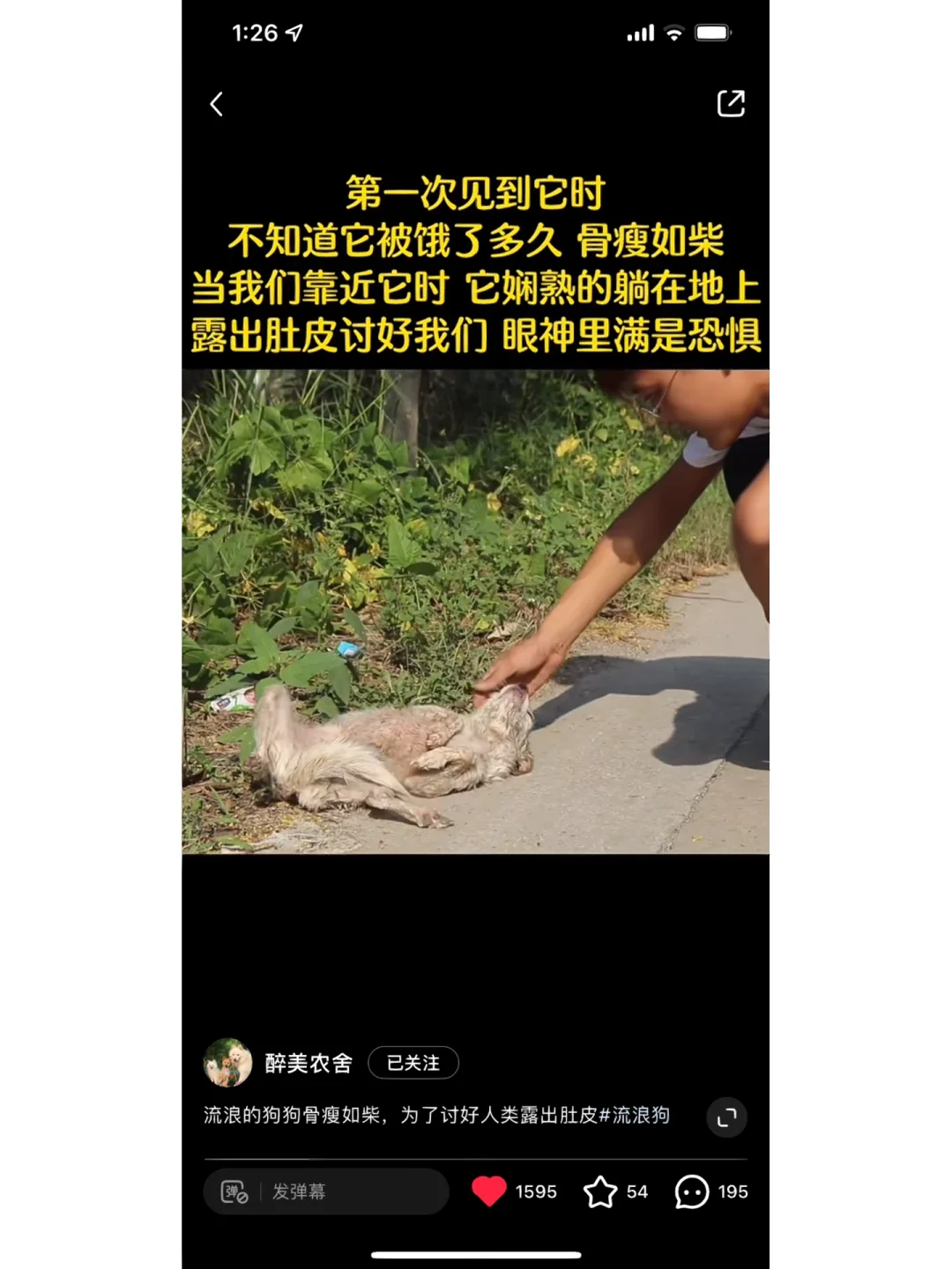 不要被骗!!!扒一扒这个“小黑救助站”