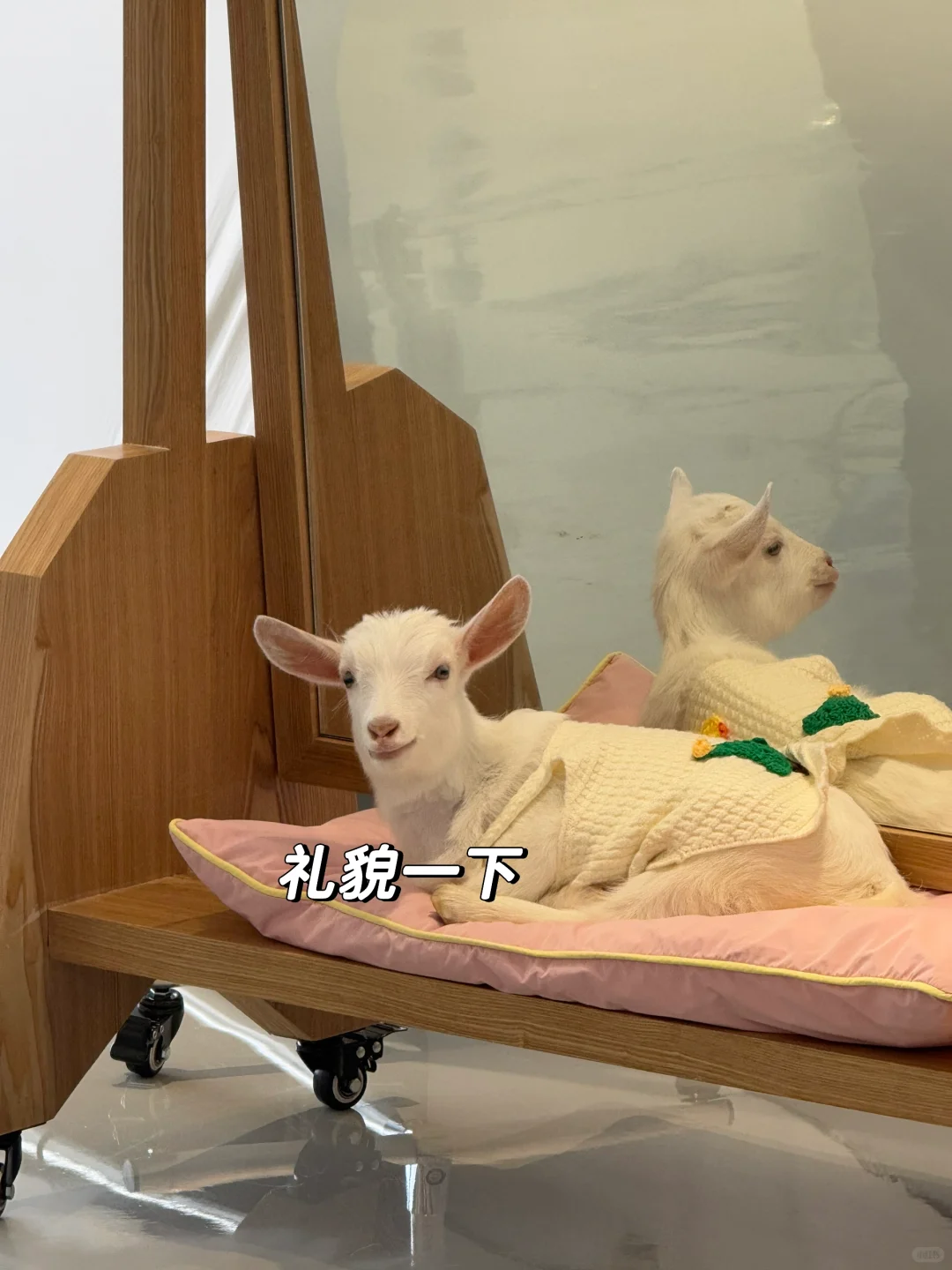 ÿ춼Ҫ΢ЦŶ