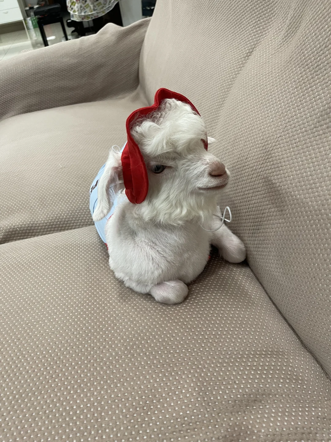 Сıĵ