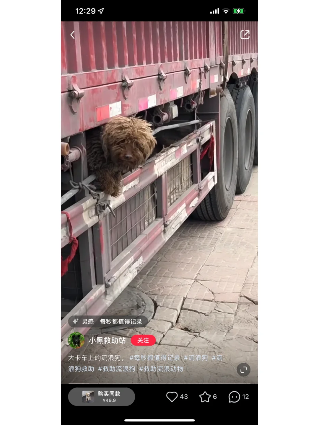 不要被骗!!!扒一扒这个“小黑救助站”