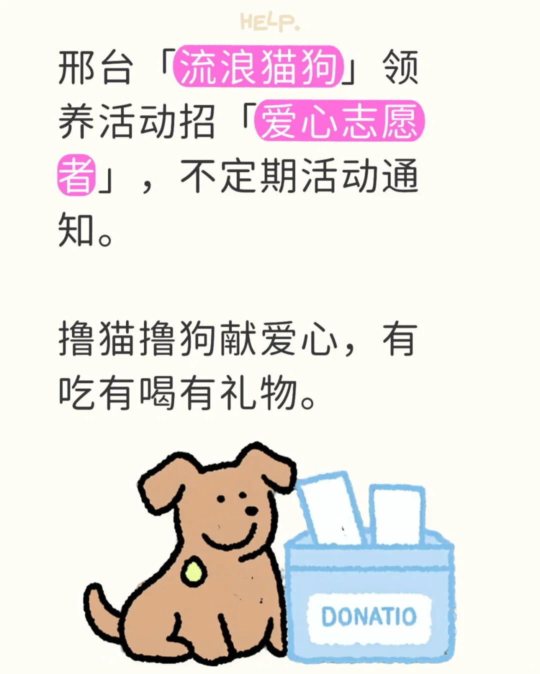 长期招募志愿者,要参与领养的猫狗也可报名