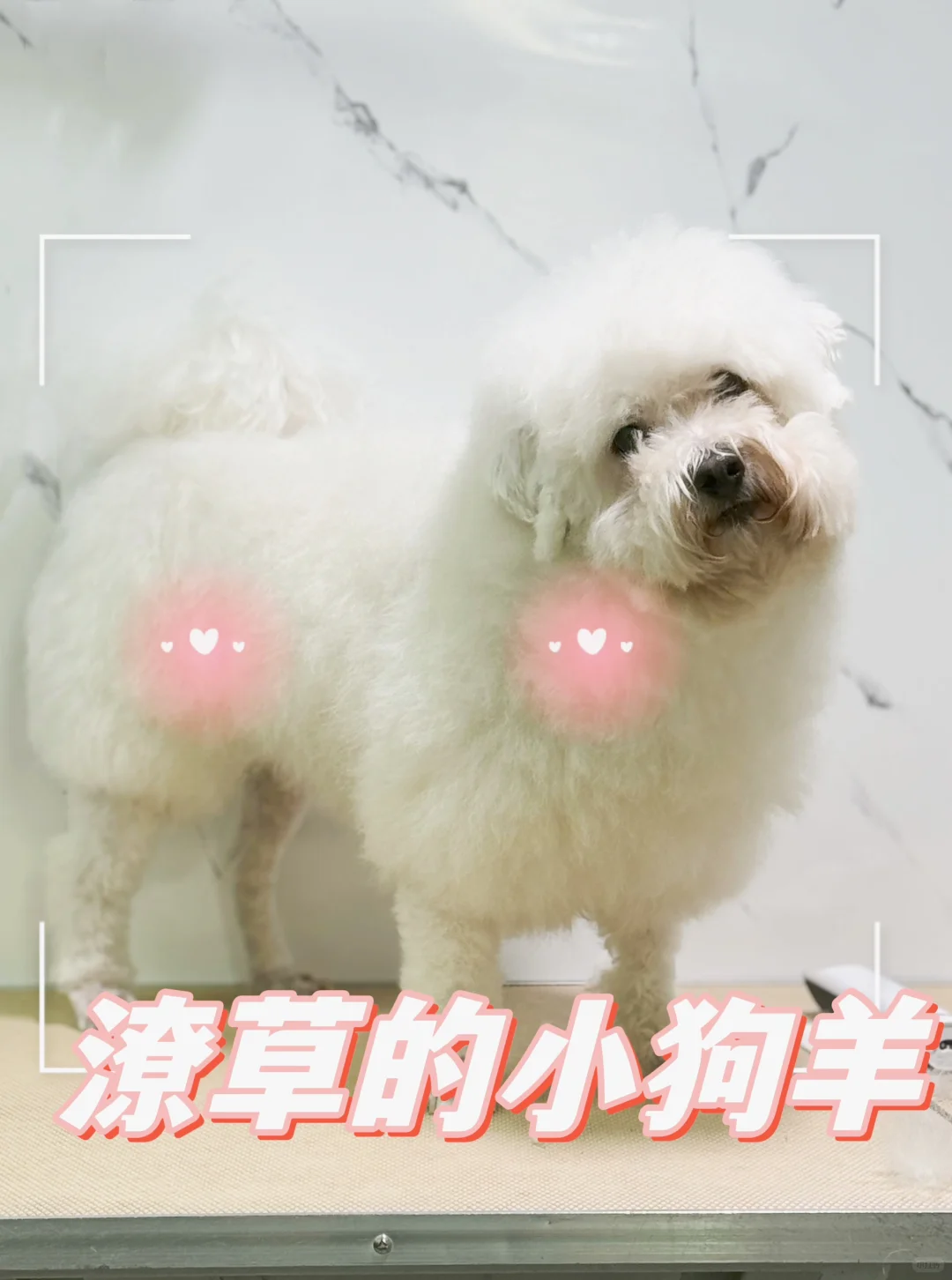 ʲݱФС޻