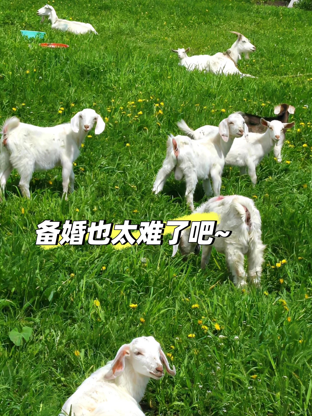 ѣȥɽ㡫