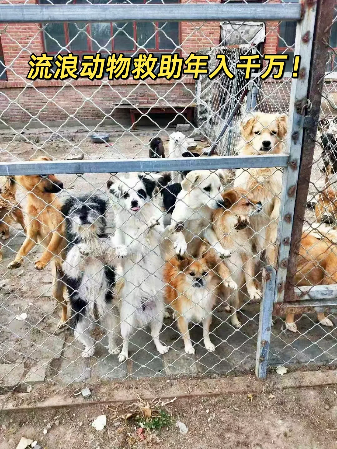 ˶ǧ