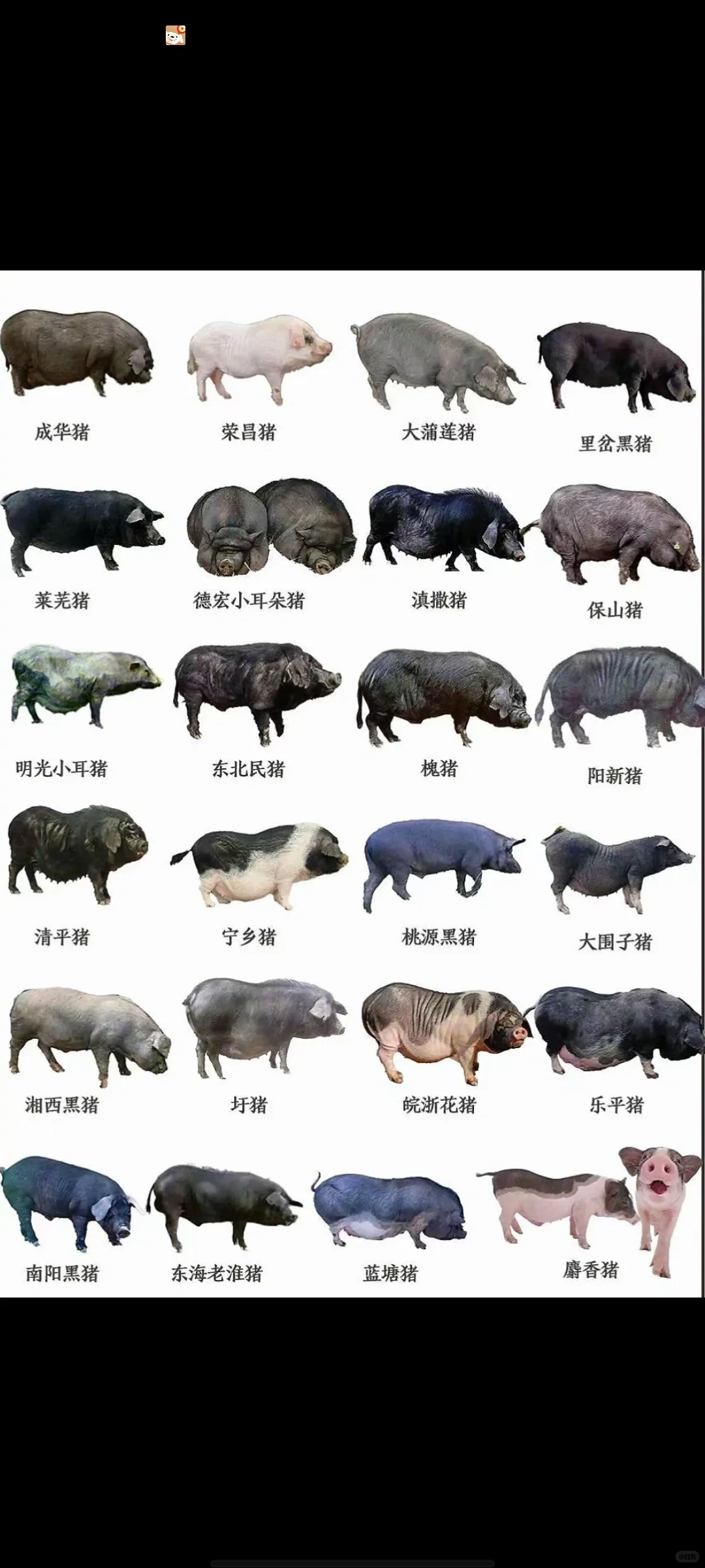 лȫʶ֣