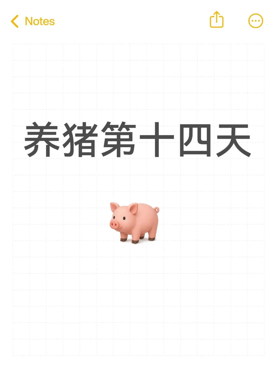 ʮ