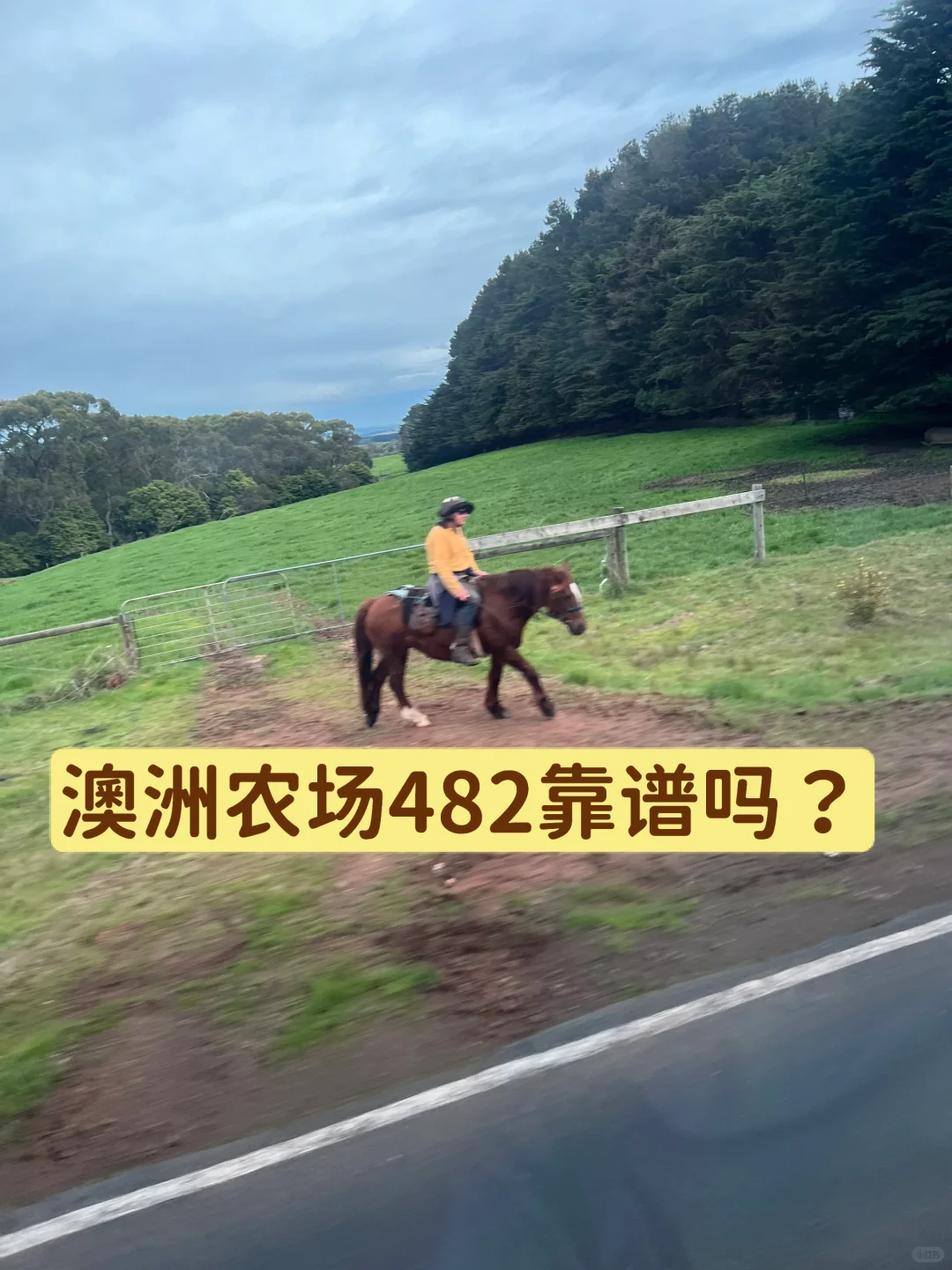 ũ482