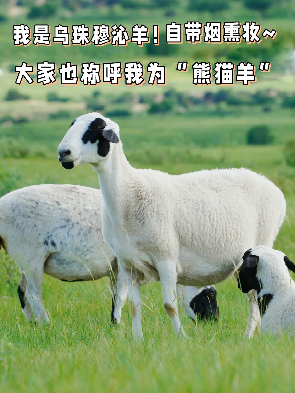 й塪 ԭ?