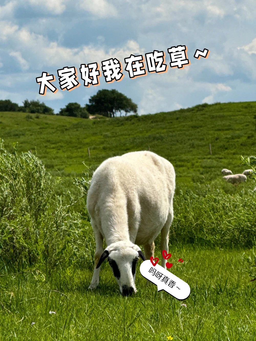 й塪 ԭ?
