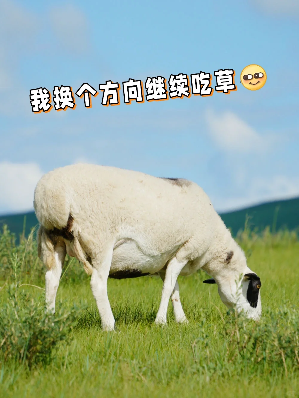 й塪 ԭ?