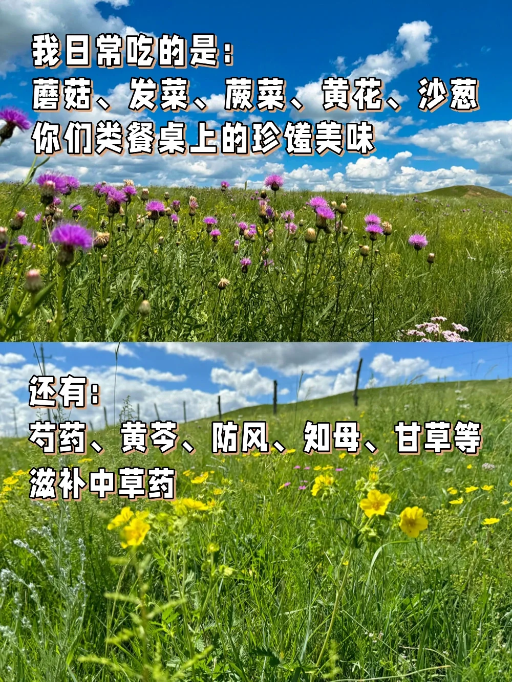 й塪 ԭ?