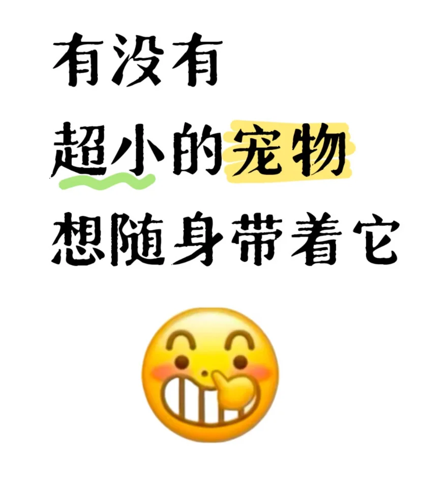 Ҷڶʲô