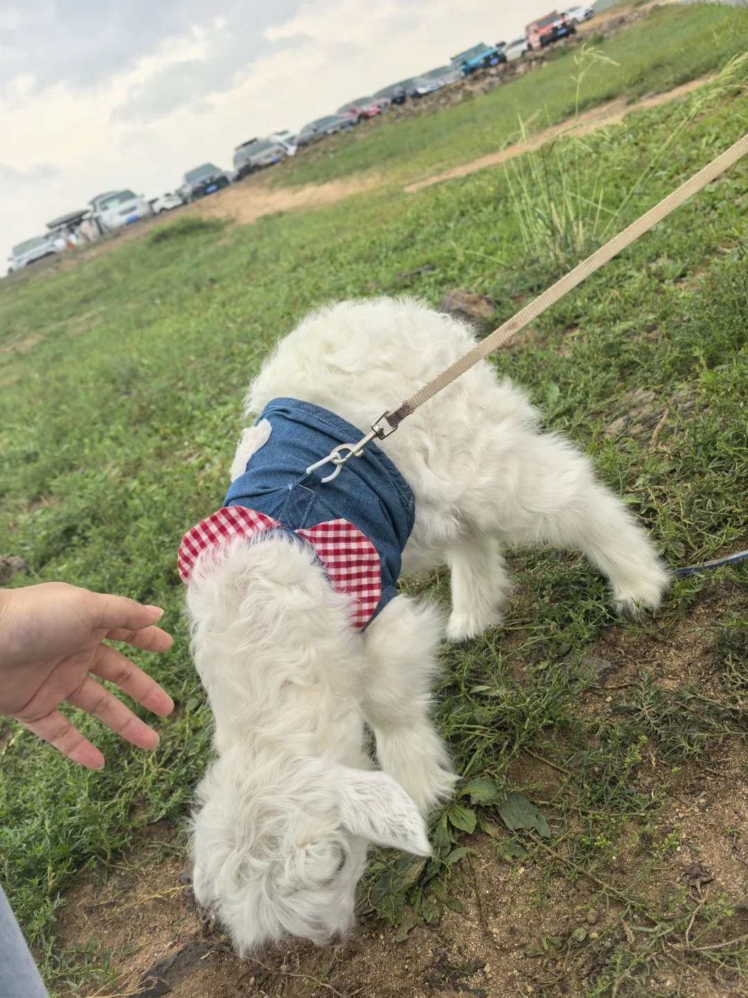ɿɰС