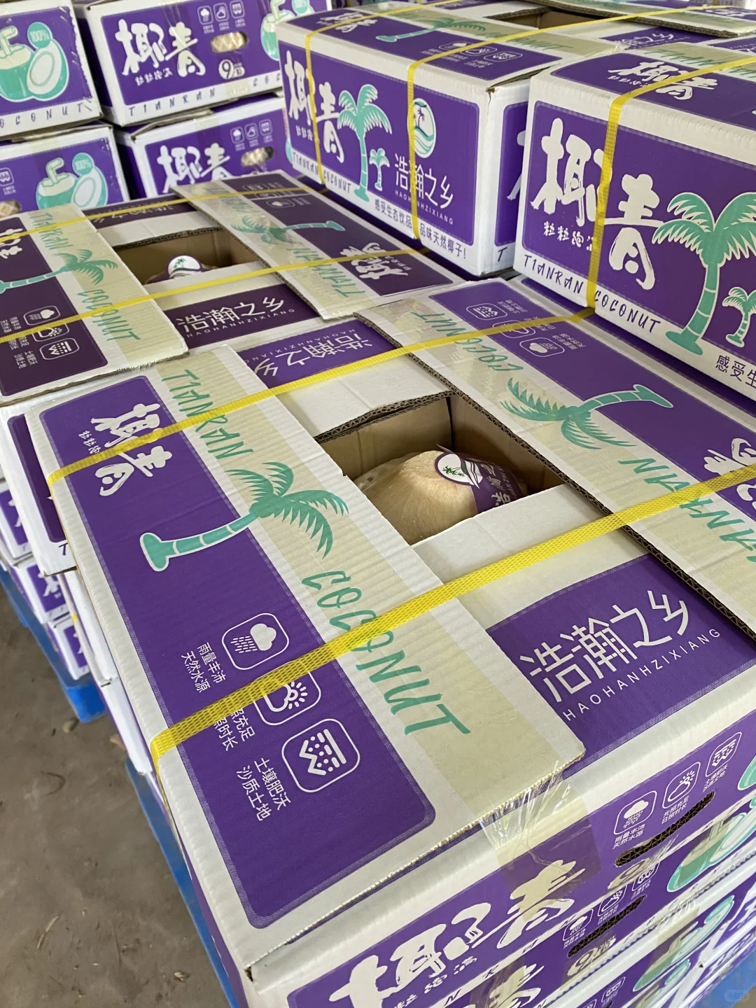 лС飬ǼҬӱ1+?