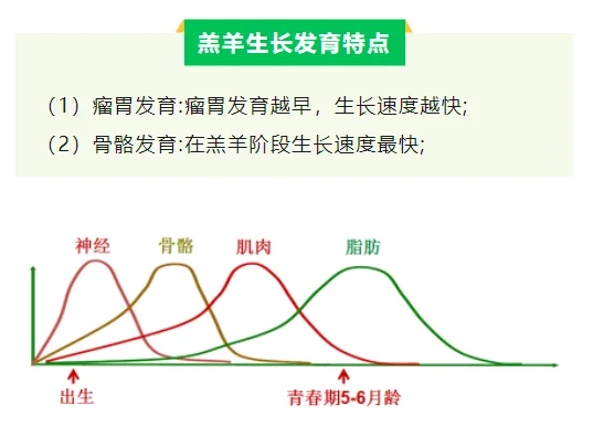ϡʺϱĸ