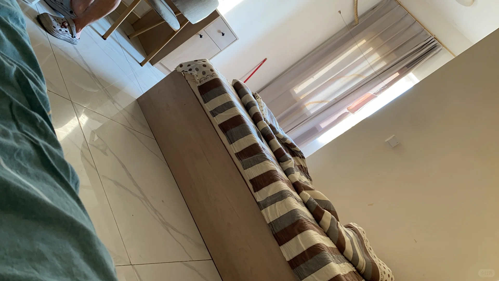 男硕养猪轮岗的第一天