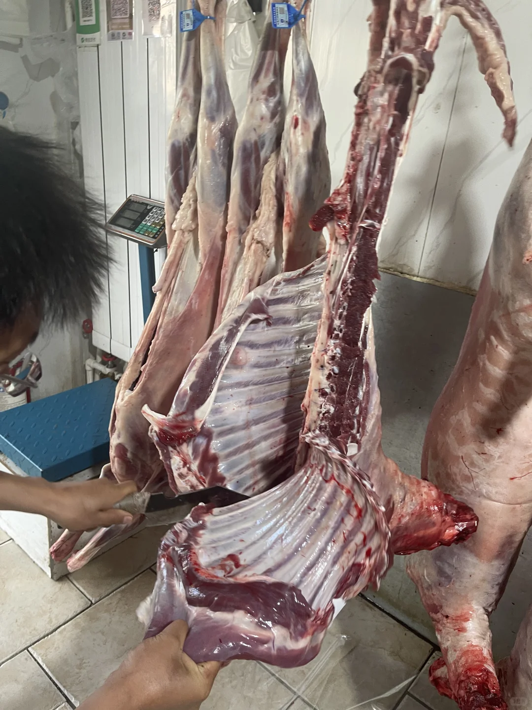 最近羊排发货慢,大家久等了