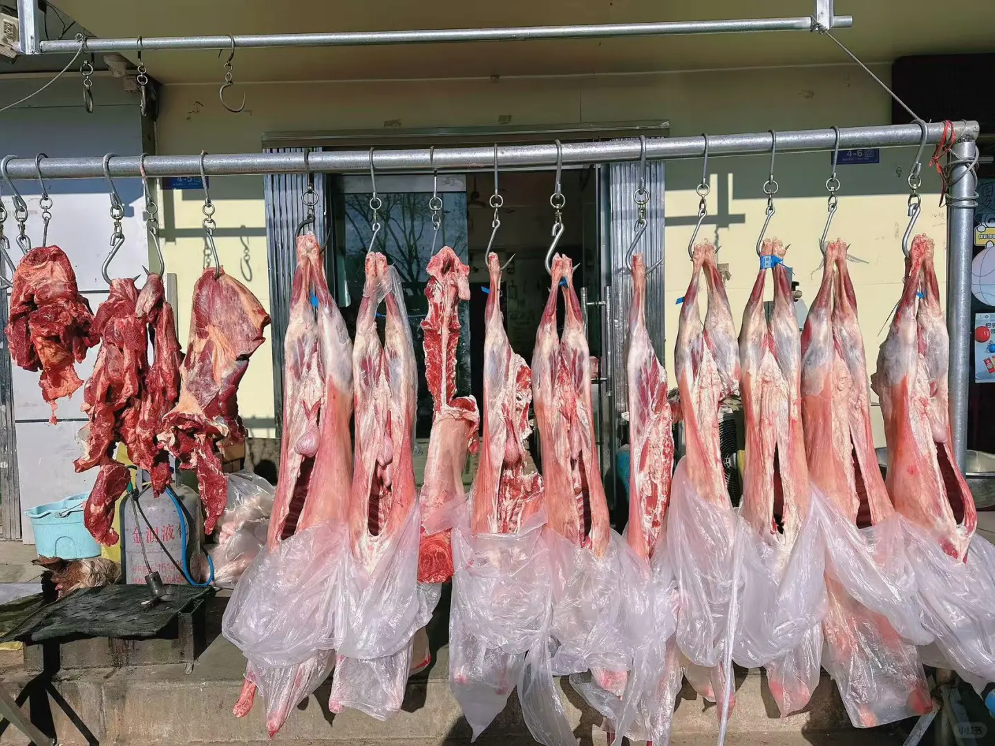 你们买的内蒙羊肉什么价