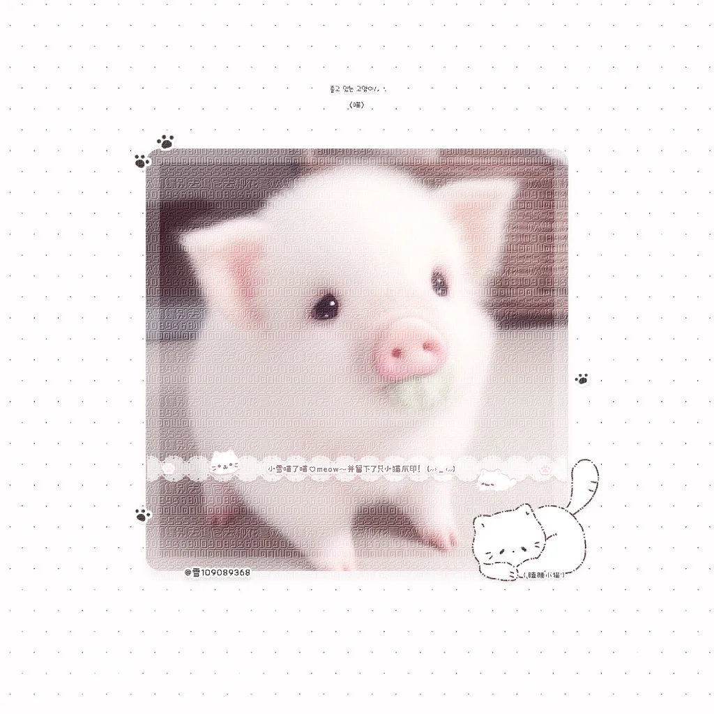 չʾ