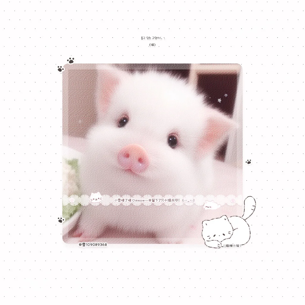 չʾ