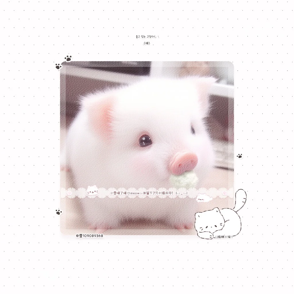 չʾ
