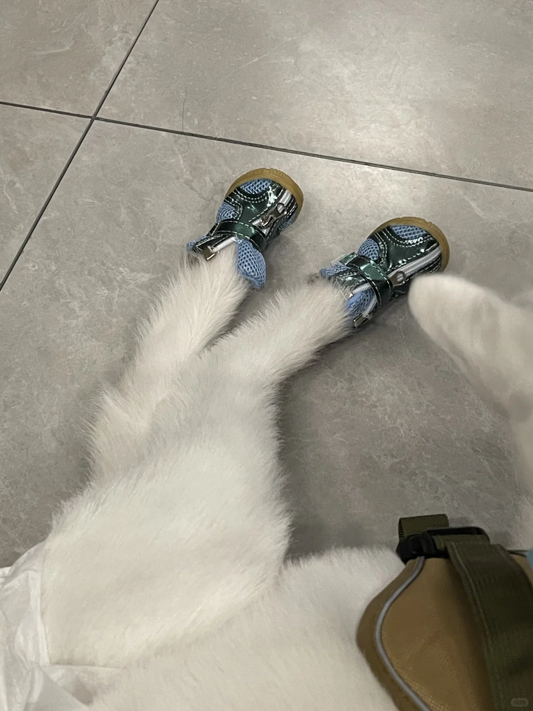 ǰˣڰ