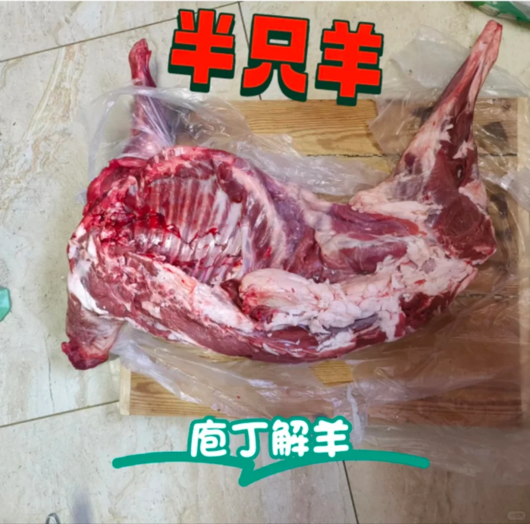ů ȫ