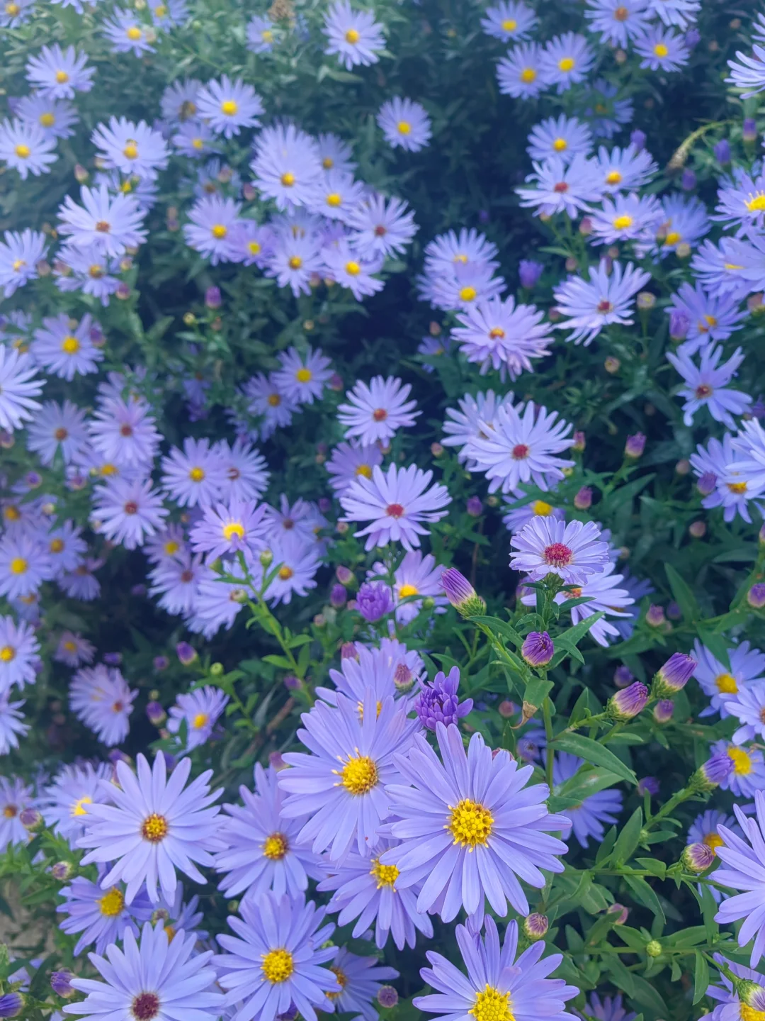ũʱ