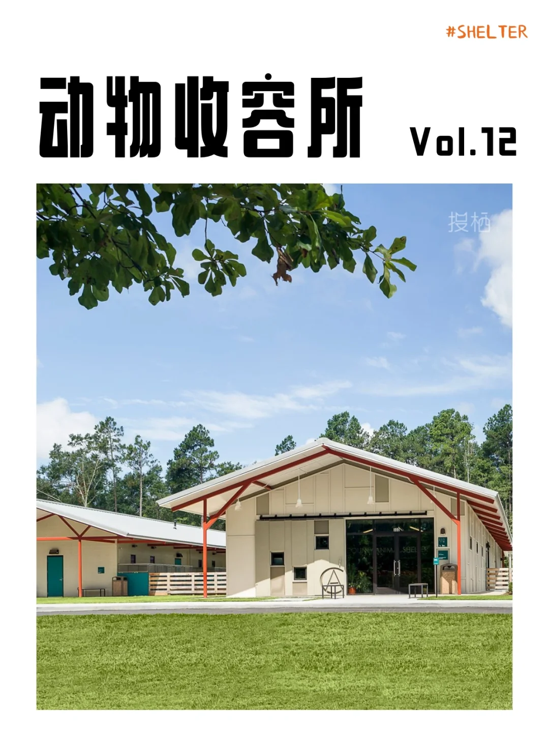 Ƕ Vol.12