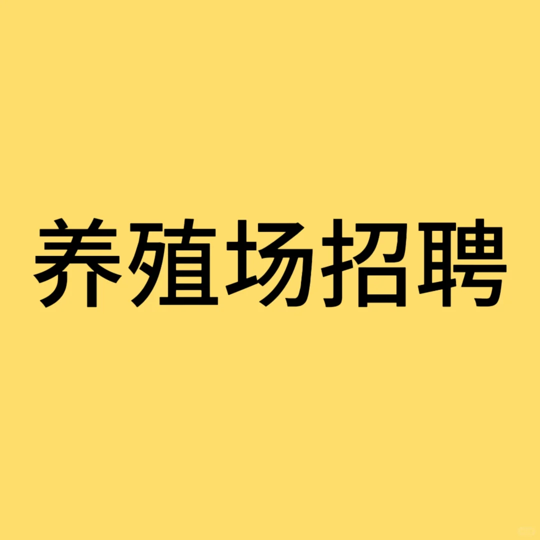 ֳƸ