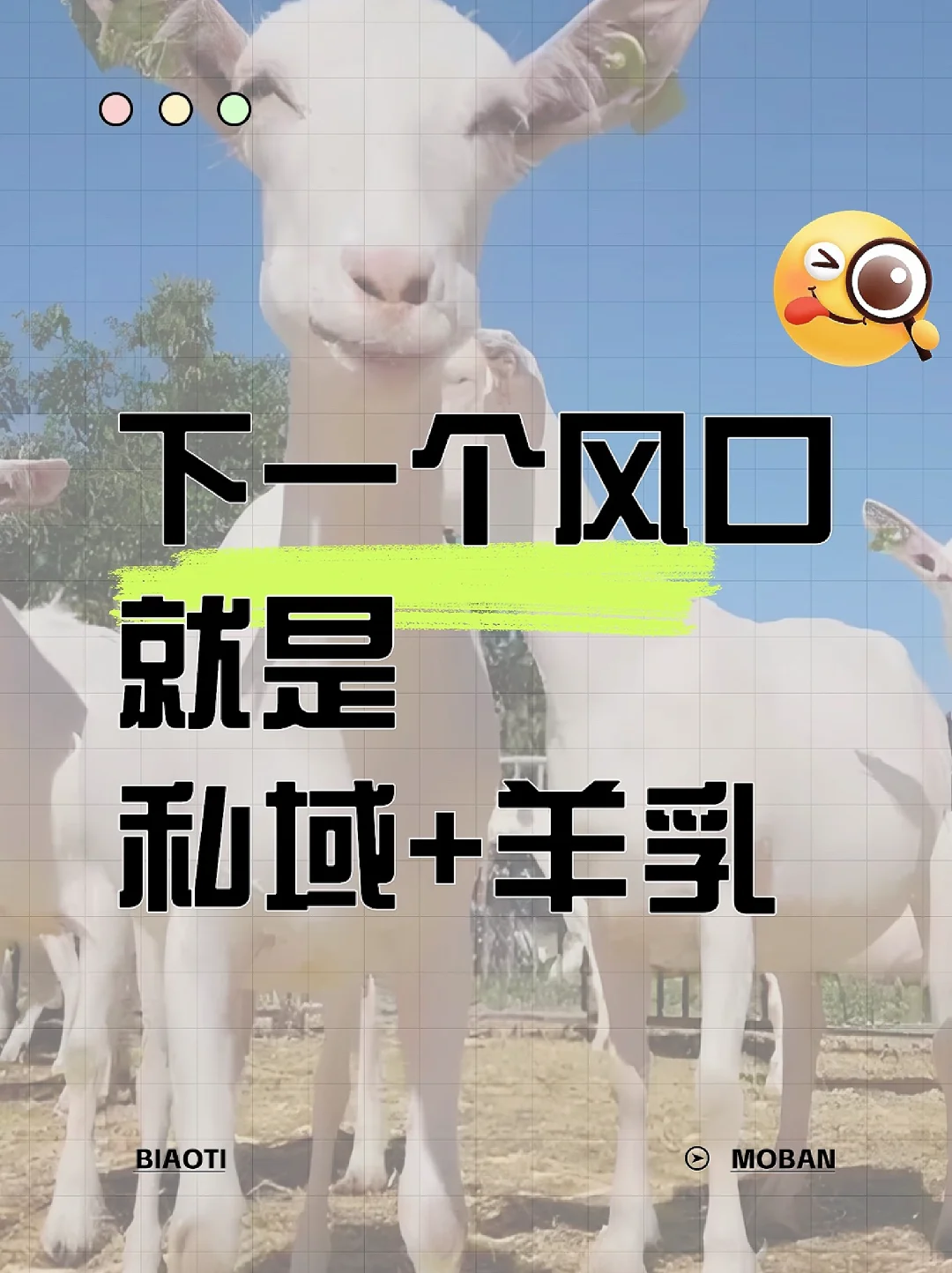 һ˽+л̷