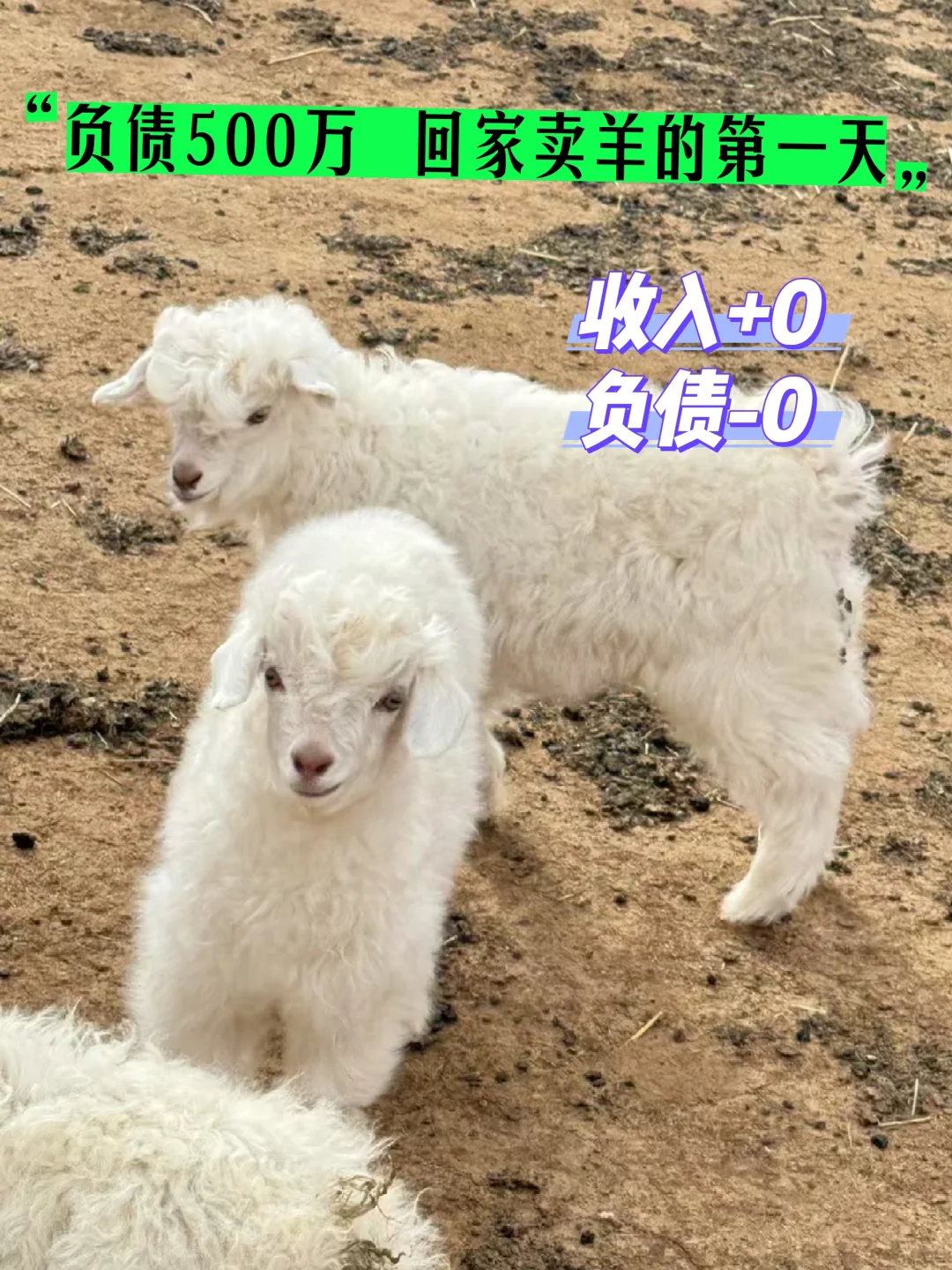 99Ůծ500w Ψһʲ:С