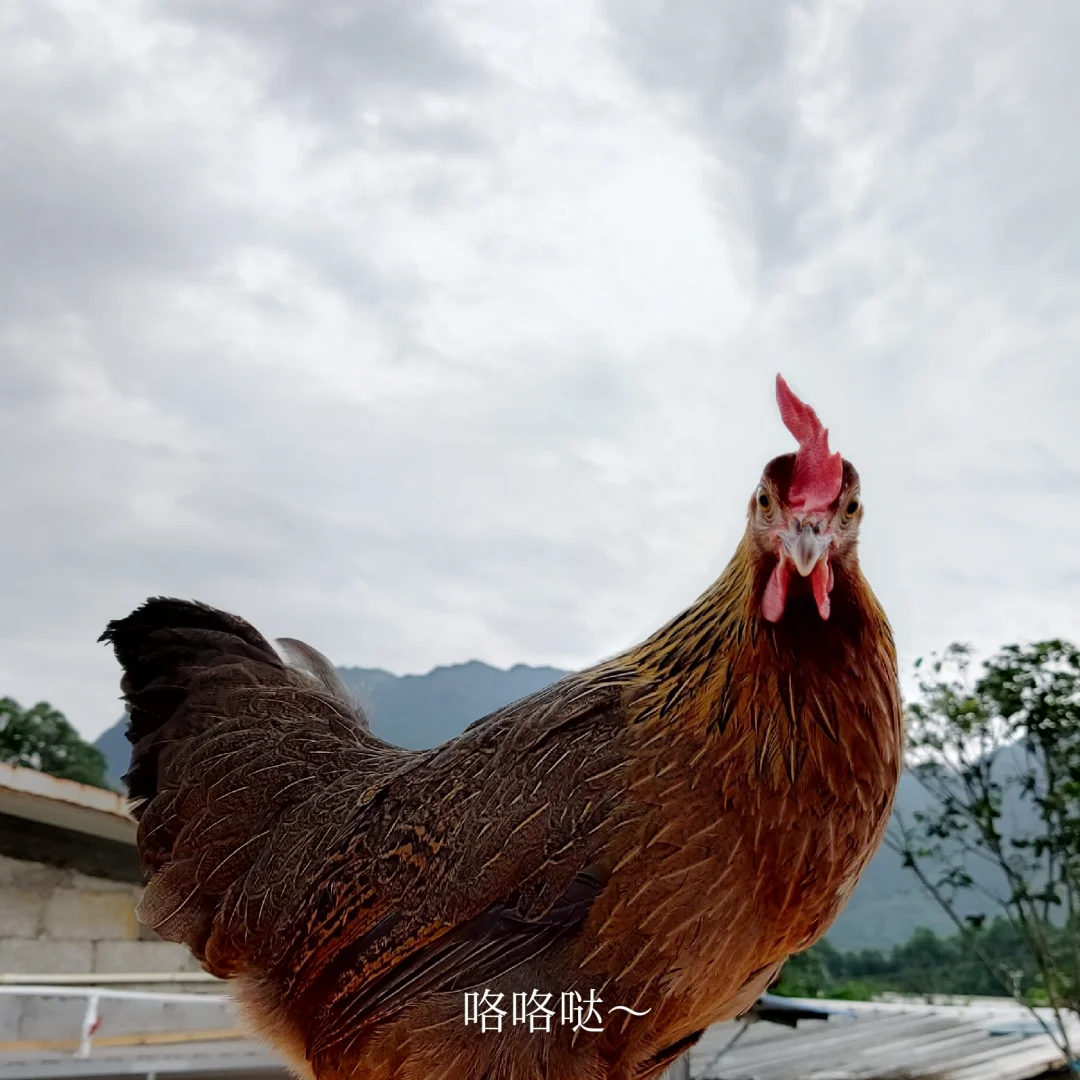 С6꣬Ѵ22.4w
