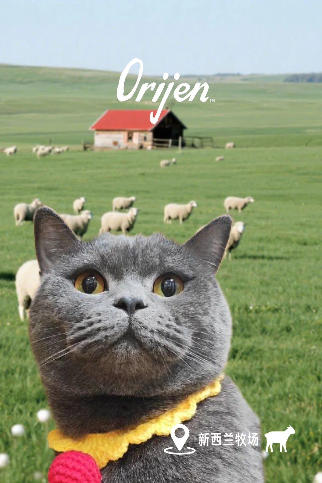 ȥ