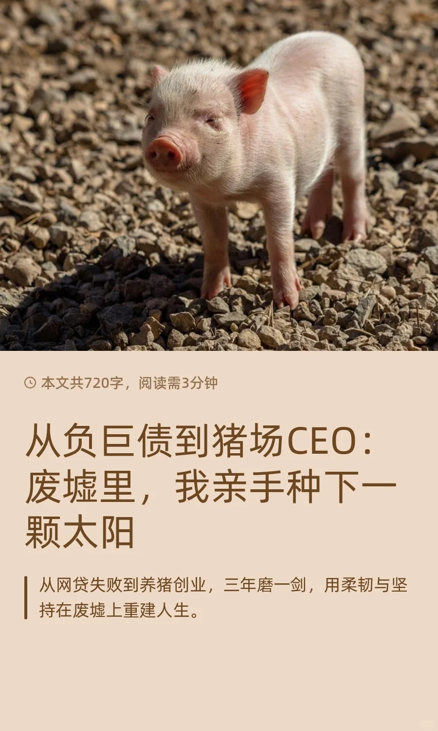 ӸծCEOһ
