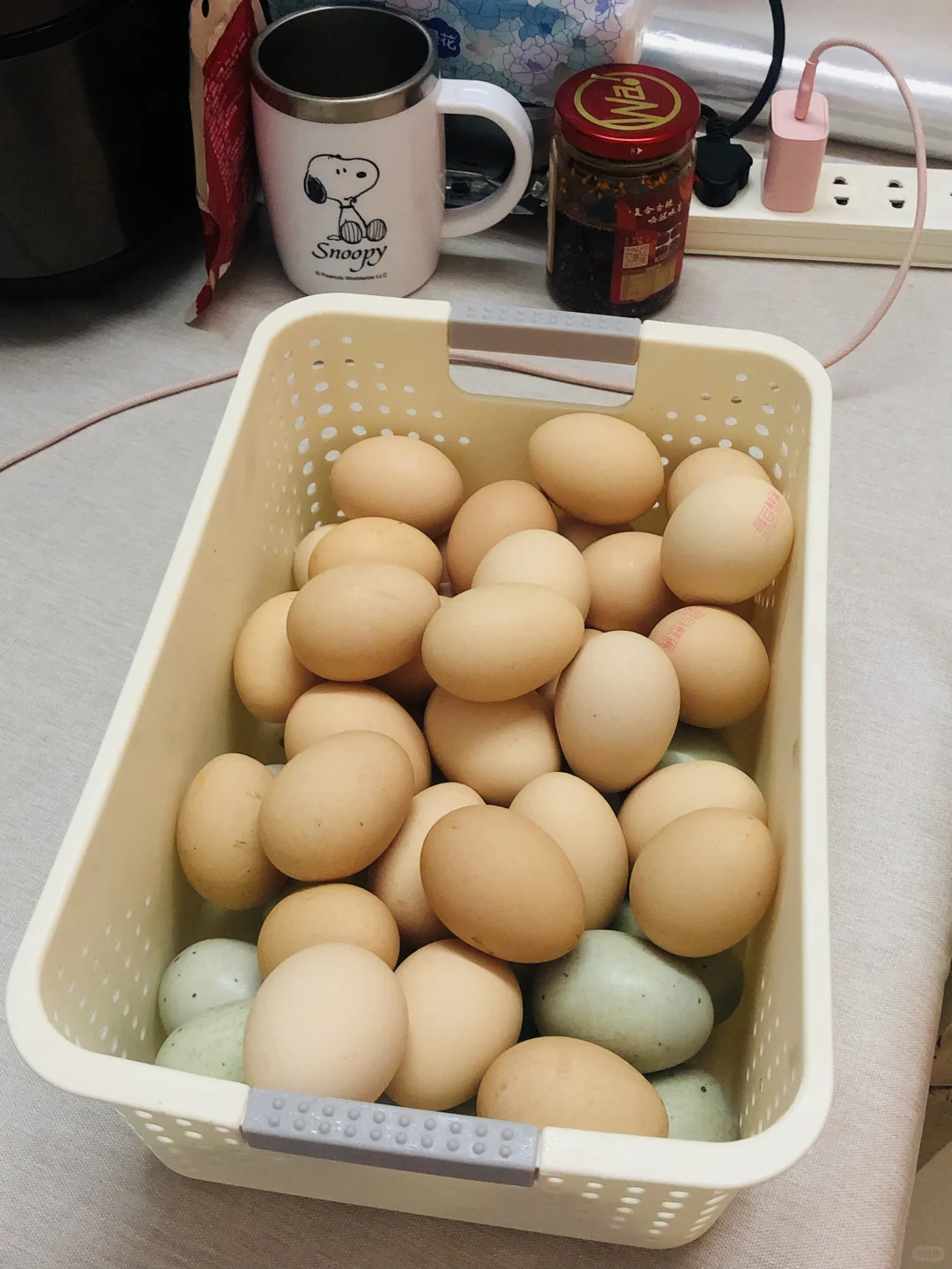 л磬ʵּ?