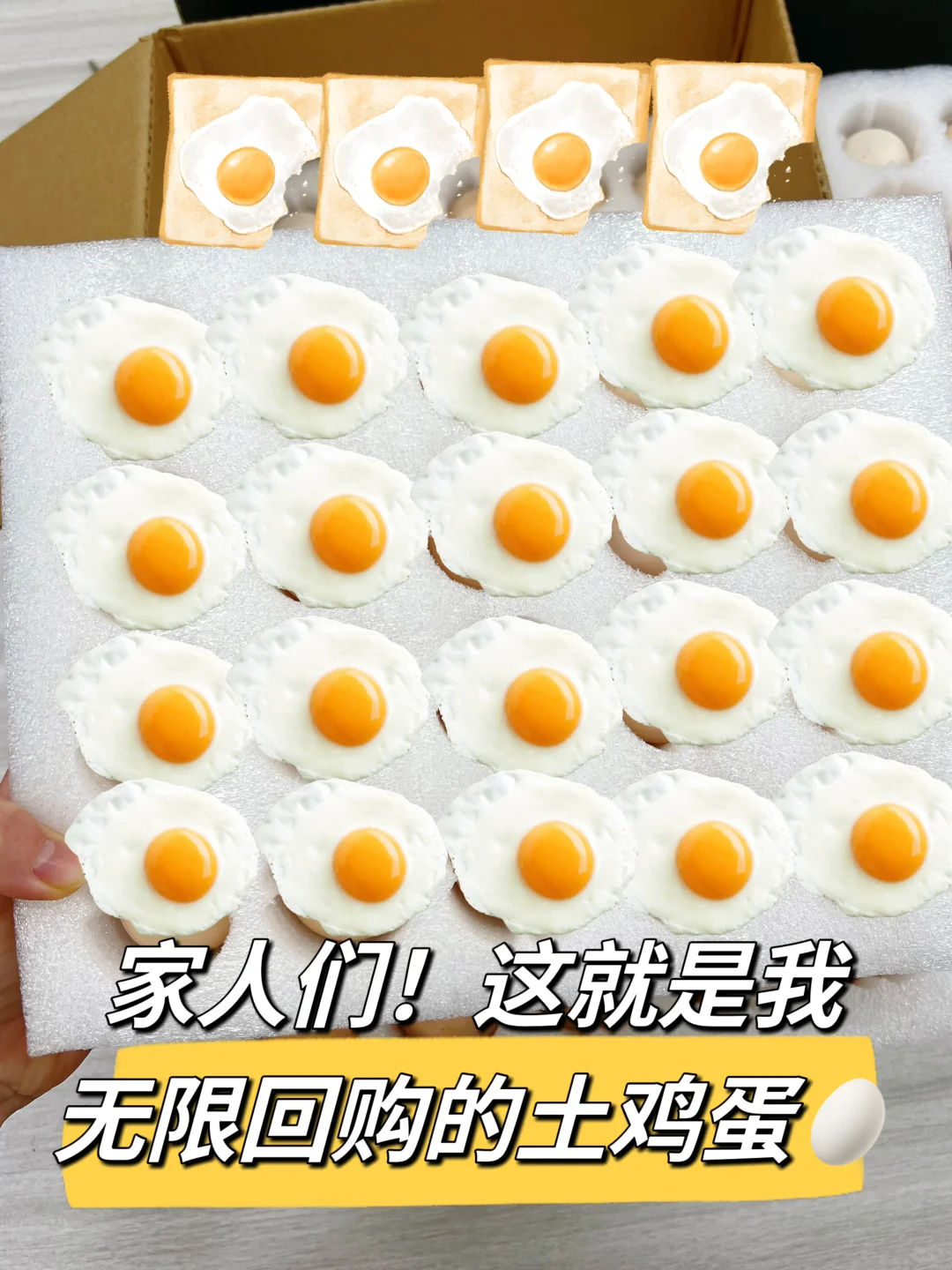 ϶ûԹ8850ö