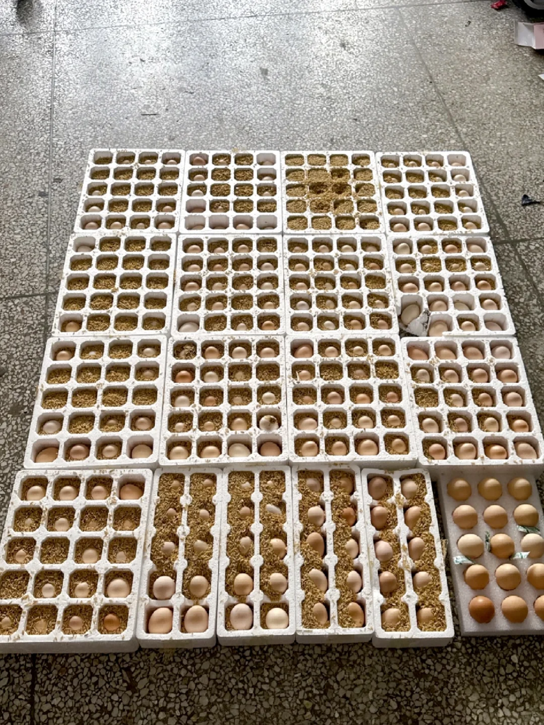 ˭ţ?޶500