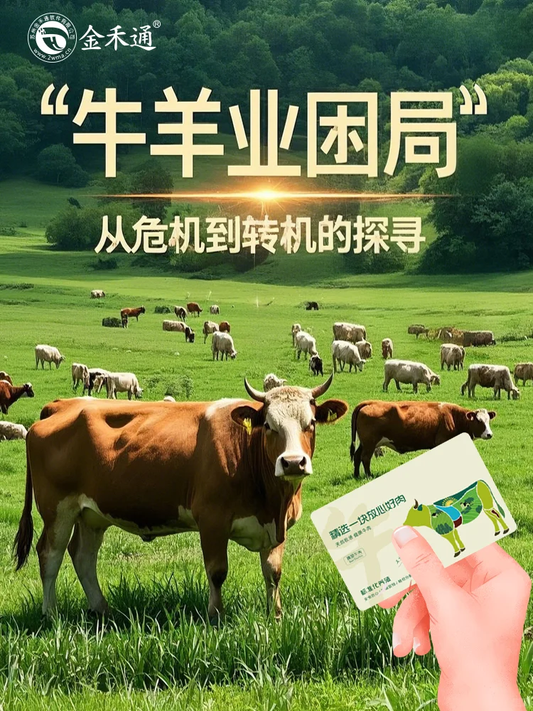 ţҵ֣Σת̽Ѱ