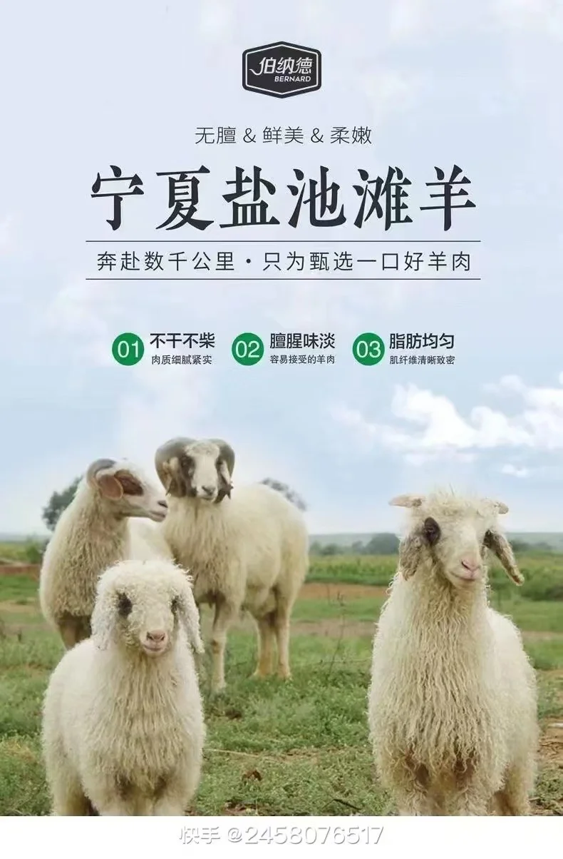 ó¸Ӧ