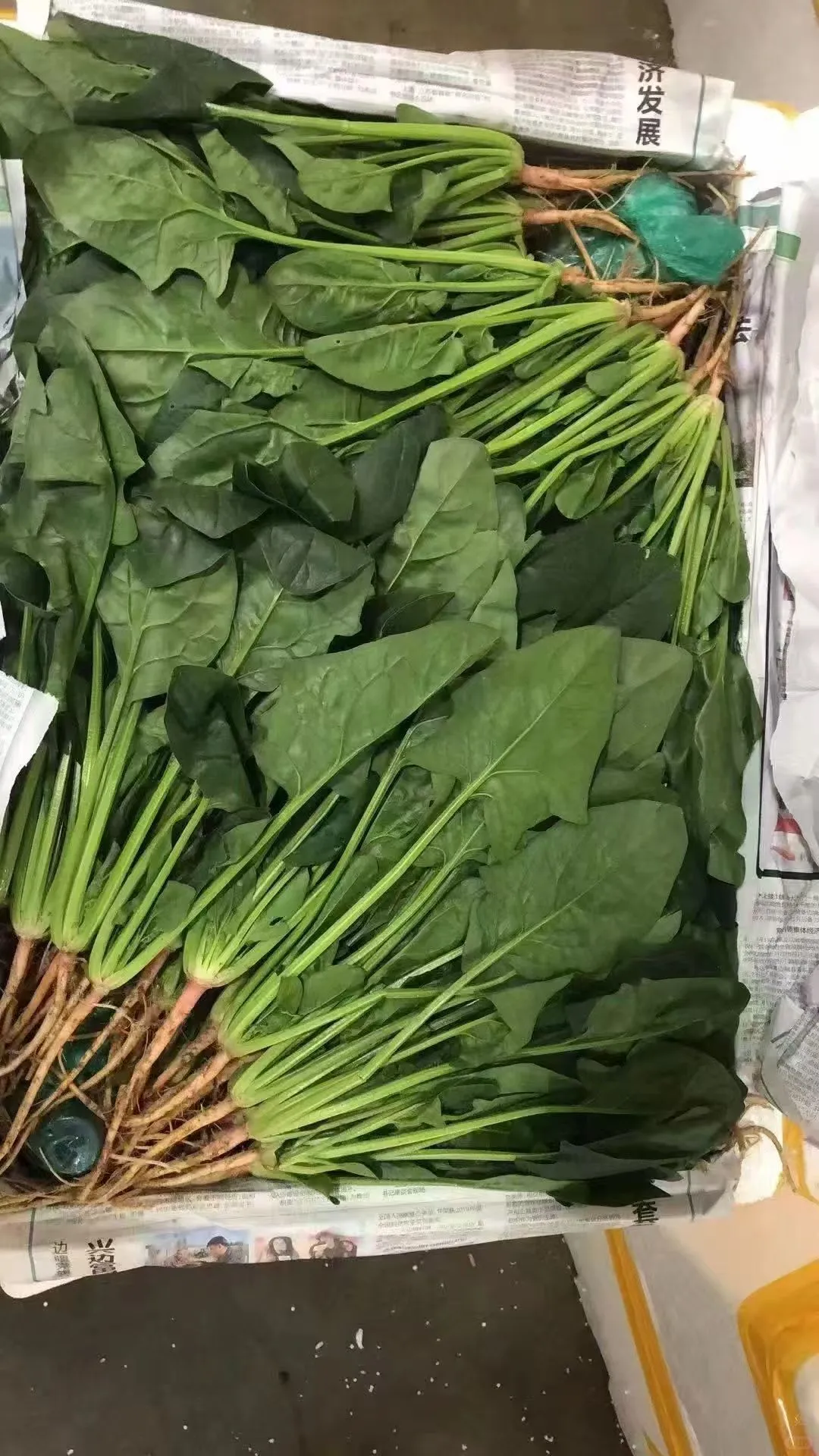 ˵?۸?