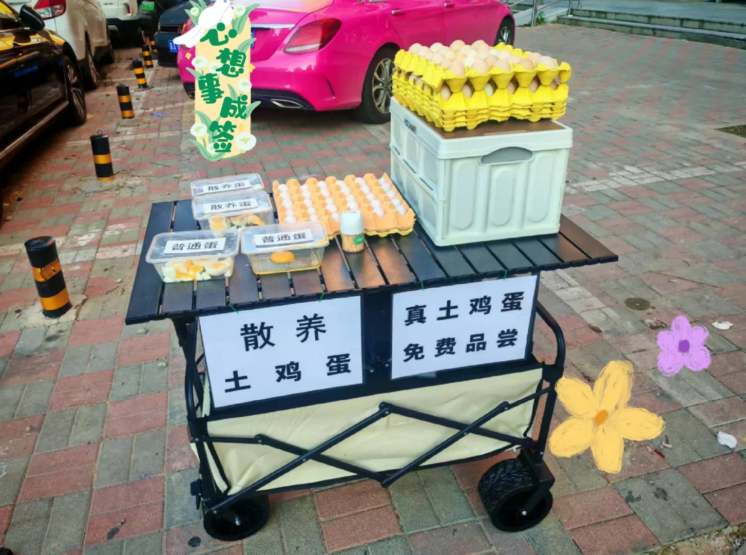 ҵ̯һ졬???