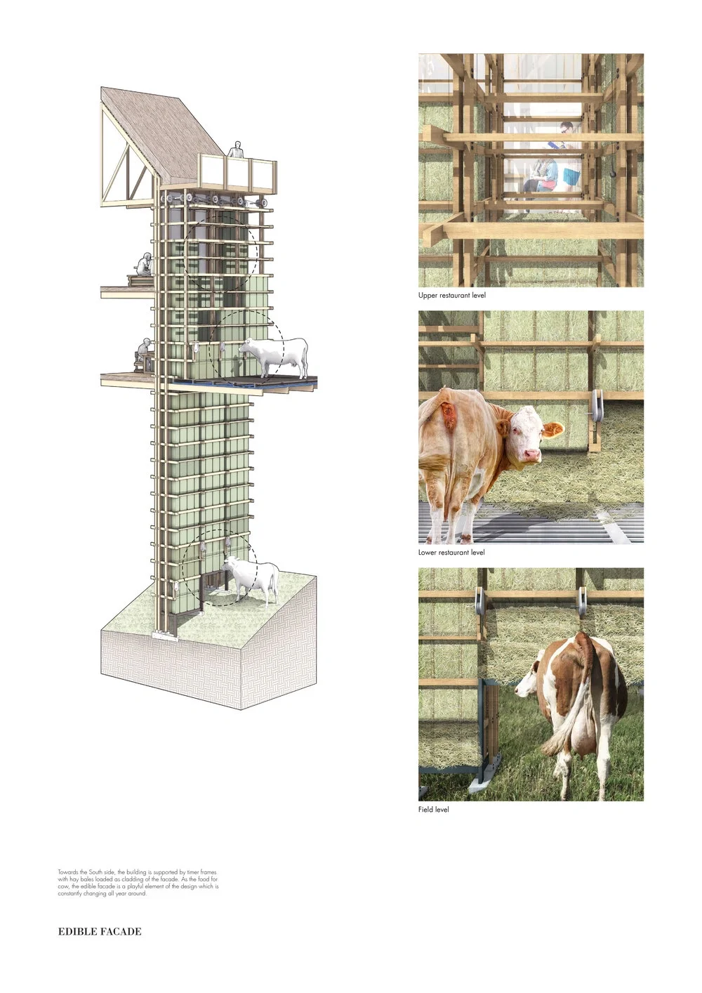 UCLNomadic Farmũ