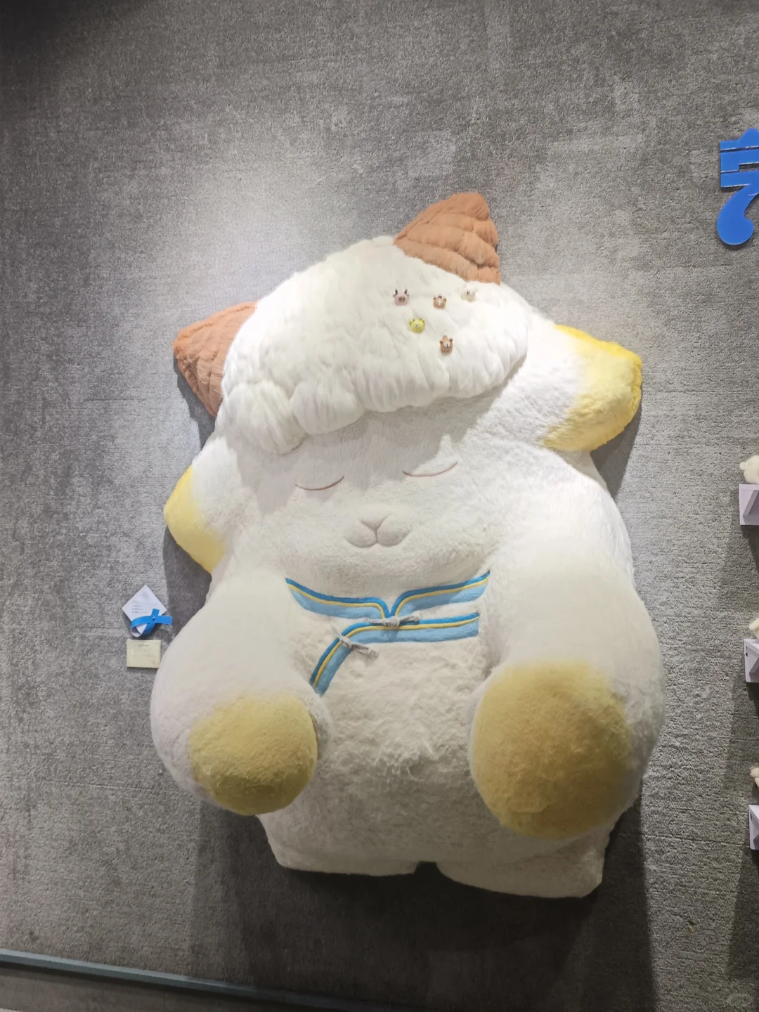 ʦѧԺС