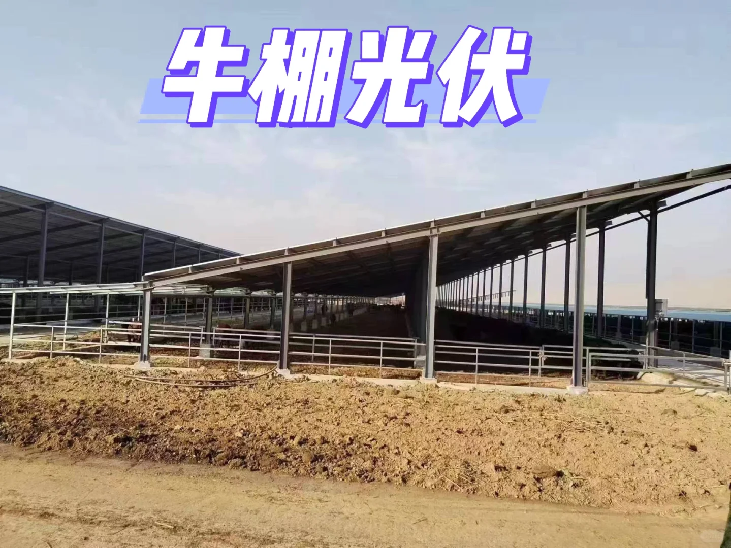 ϡ䰸حţذʵ