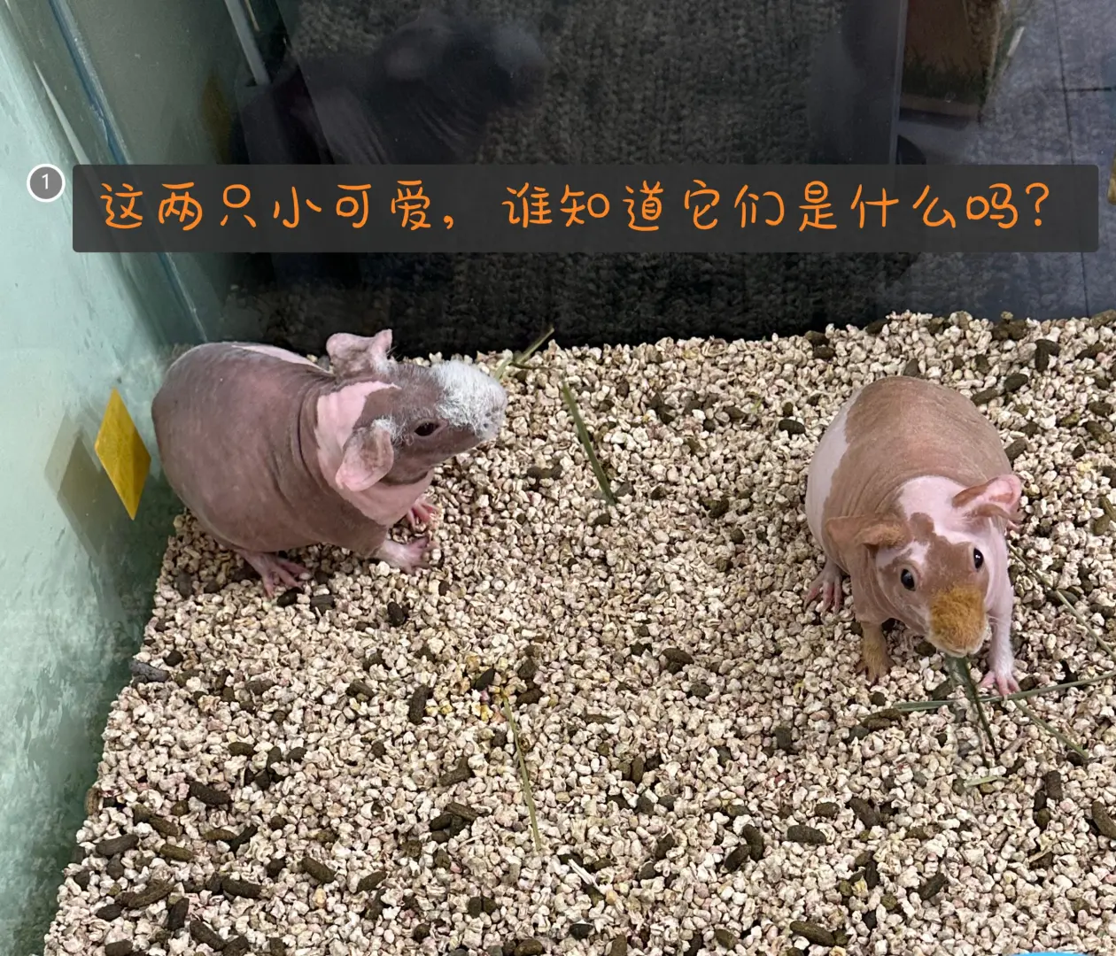 ֻСɰ˭֪ʲô